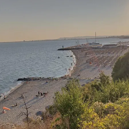 Dolche 2, Banana Tree スヴェティ・ヴラス