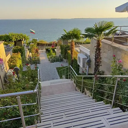 Dolche 2, Banana Tree スヴェティ・ヴラス