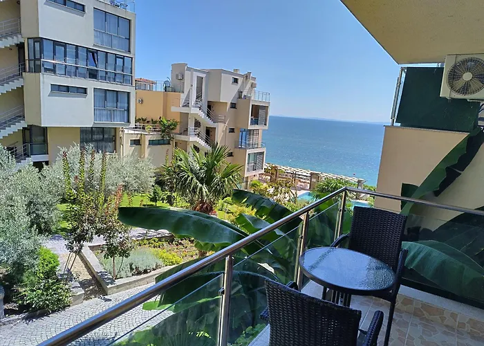 Dolche 2, Banana Tree *